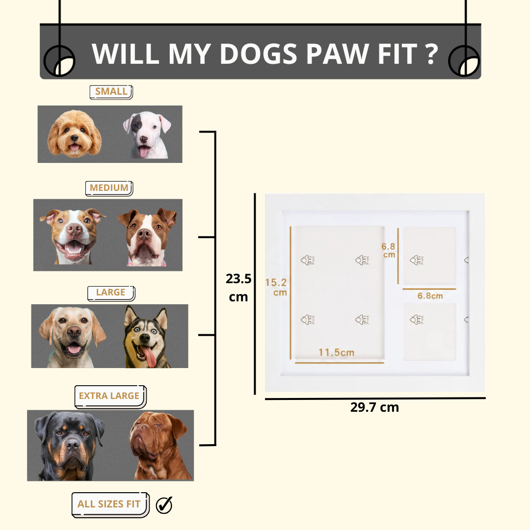 ForeverNest™ PawFrame