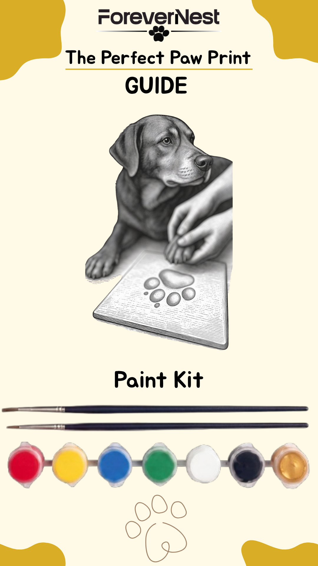 GUIDE + Paint KIT