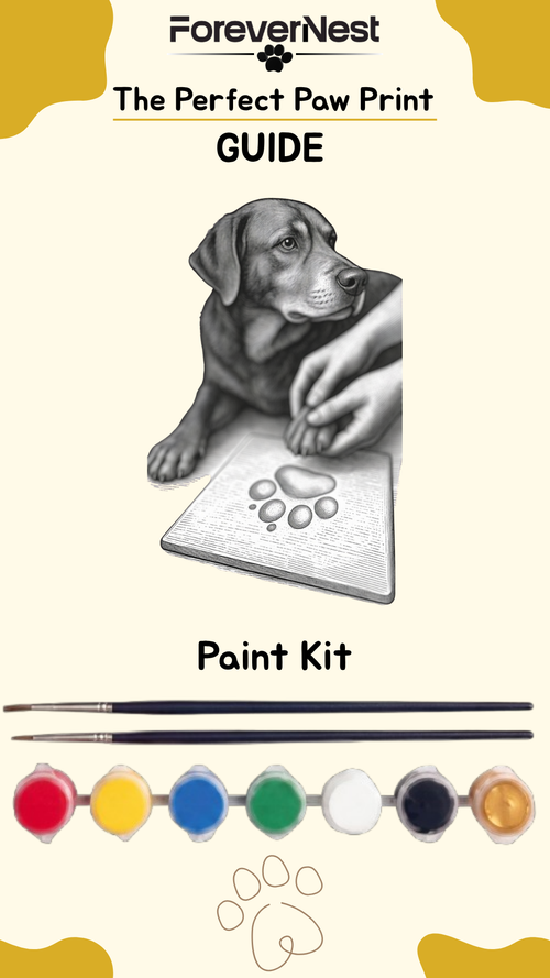 GUIDE + Paint KIT